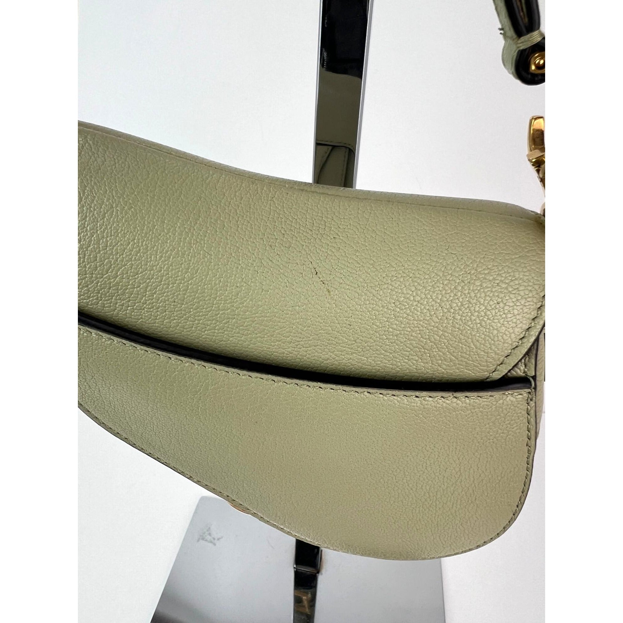 Christian Dior Goatskin Light Green Micro Saddle Bag with Strap - 3