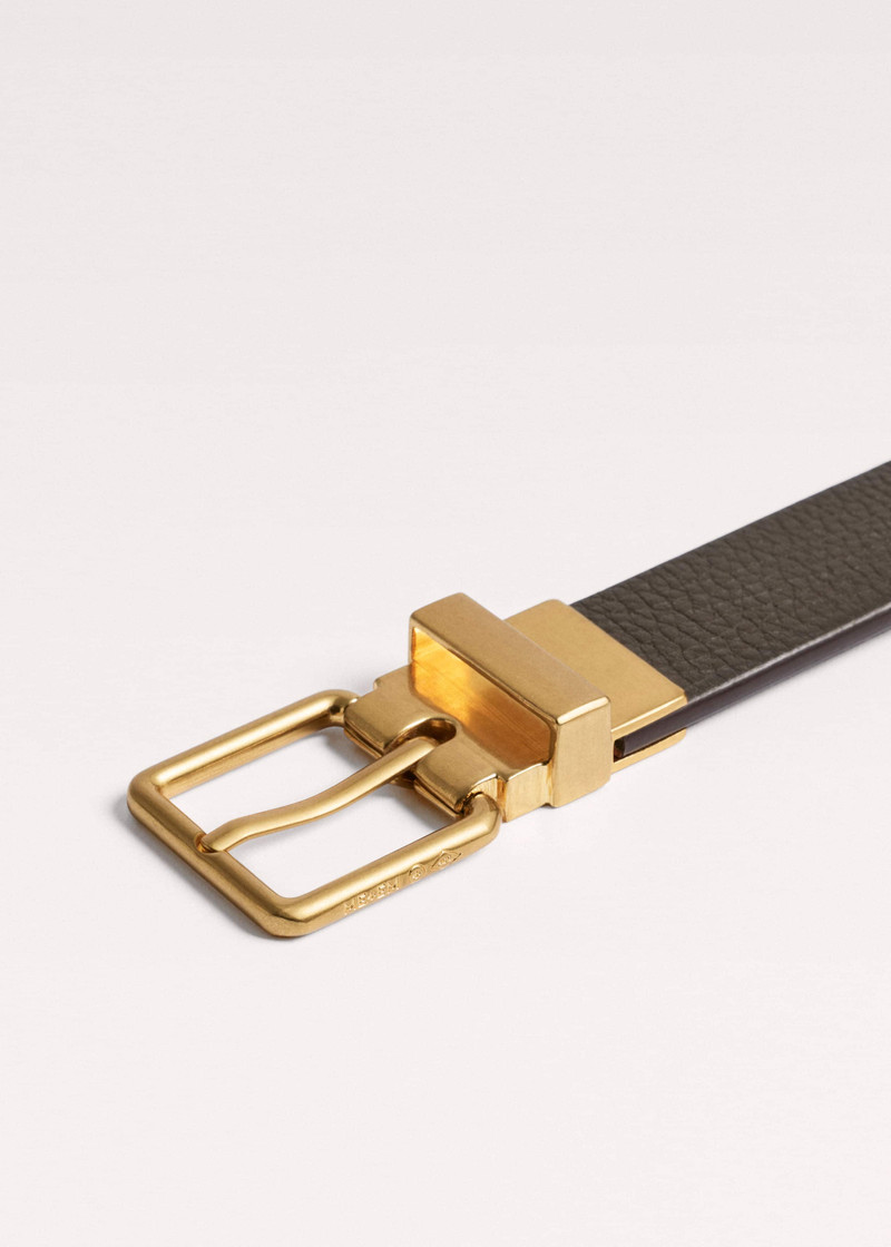 Reversible Belt 5