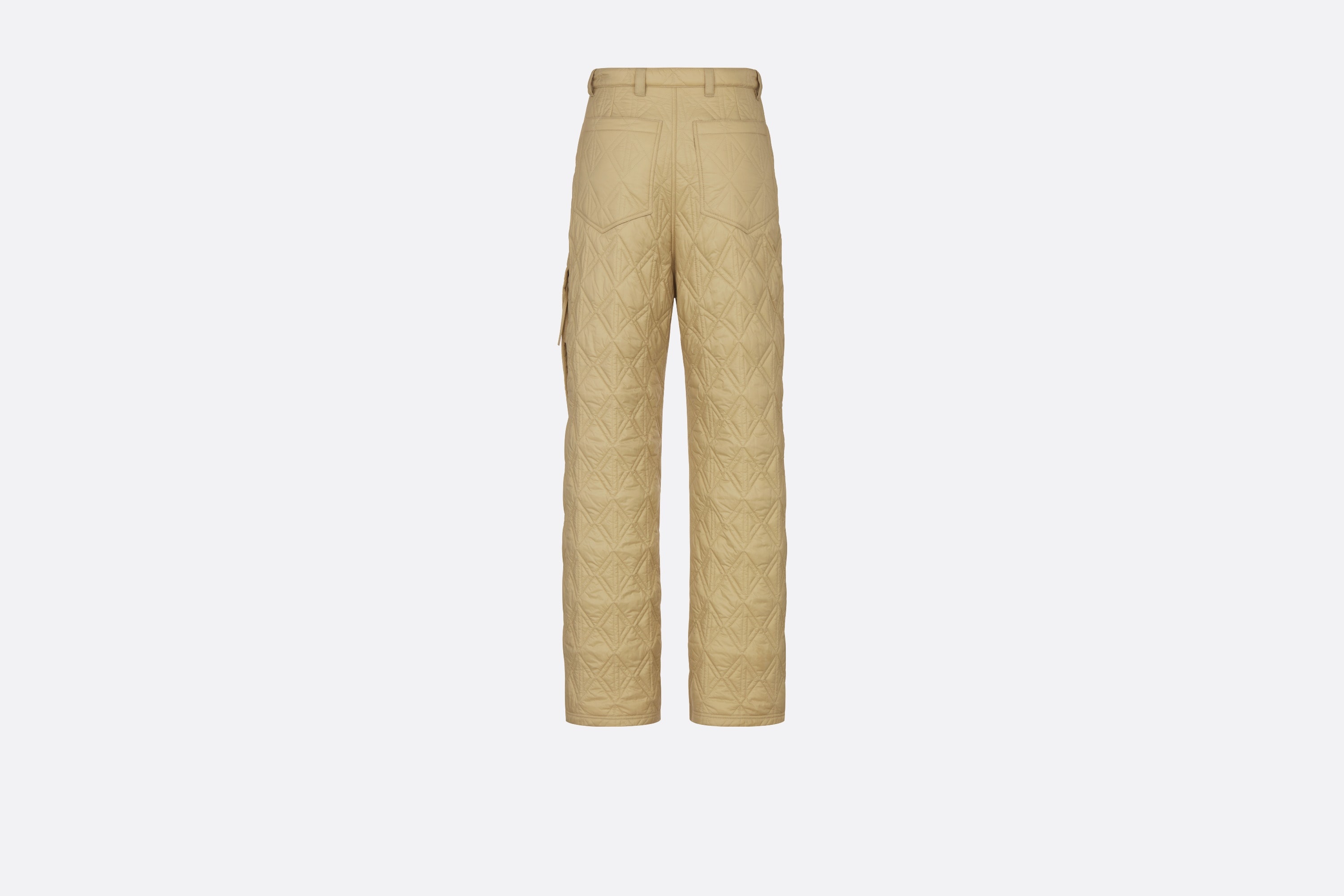 DIOR AND PETER DOIG CD Diamond Ski Pants - 2