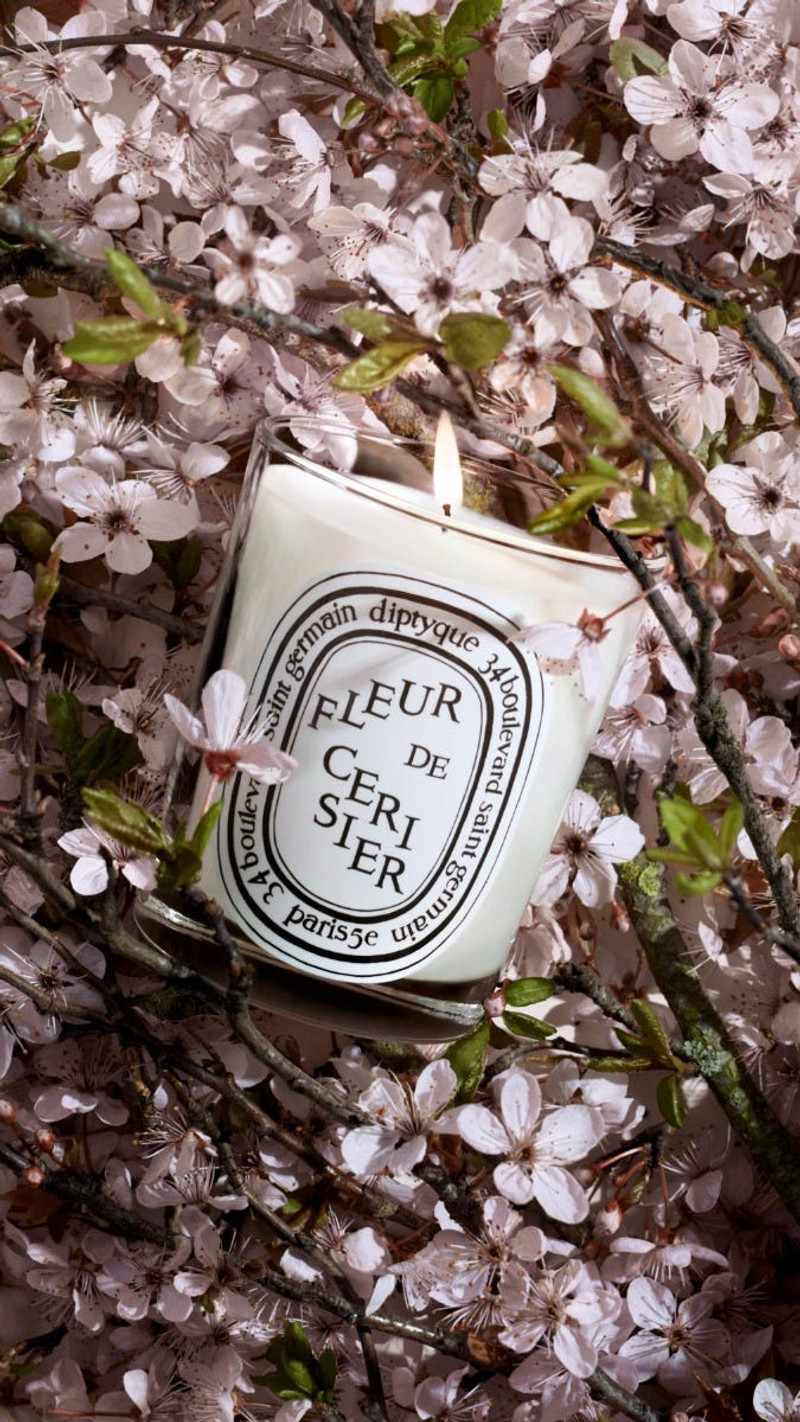 Fleur de Cerisier (Cherry Blossom) - Classic Candle 5