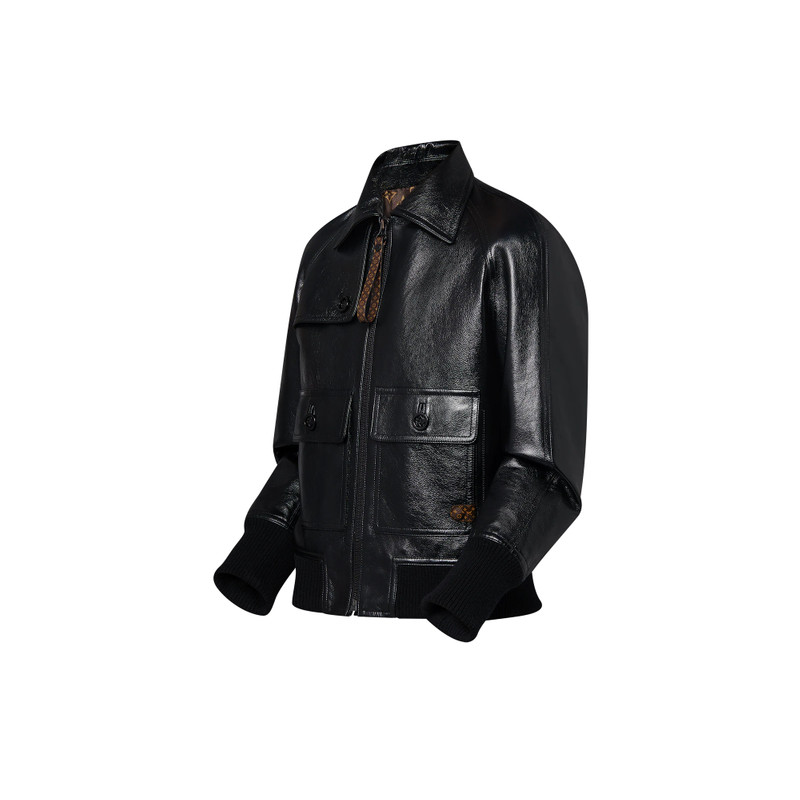Louis Vuitton Calfskin Bomber Jacket outlook
