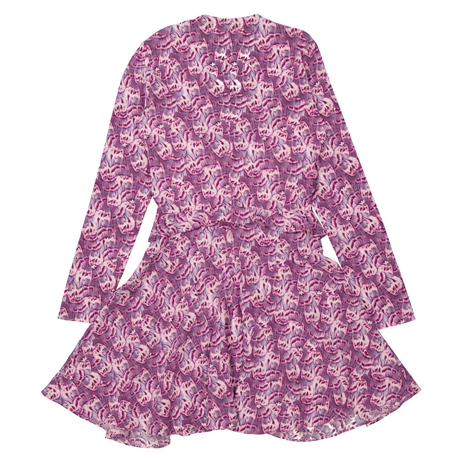 Isabel Marant Ladies Pink Usmara Printed Silk Dress - 8
