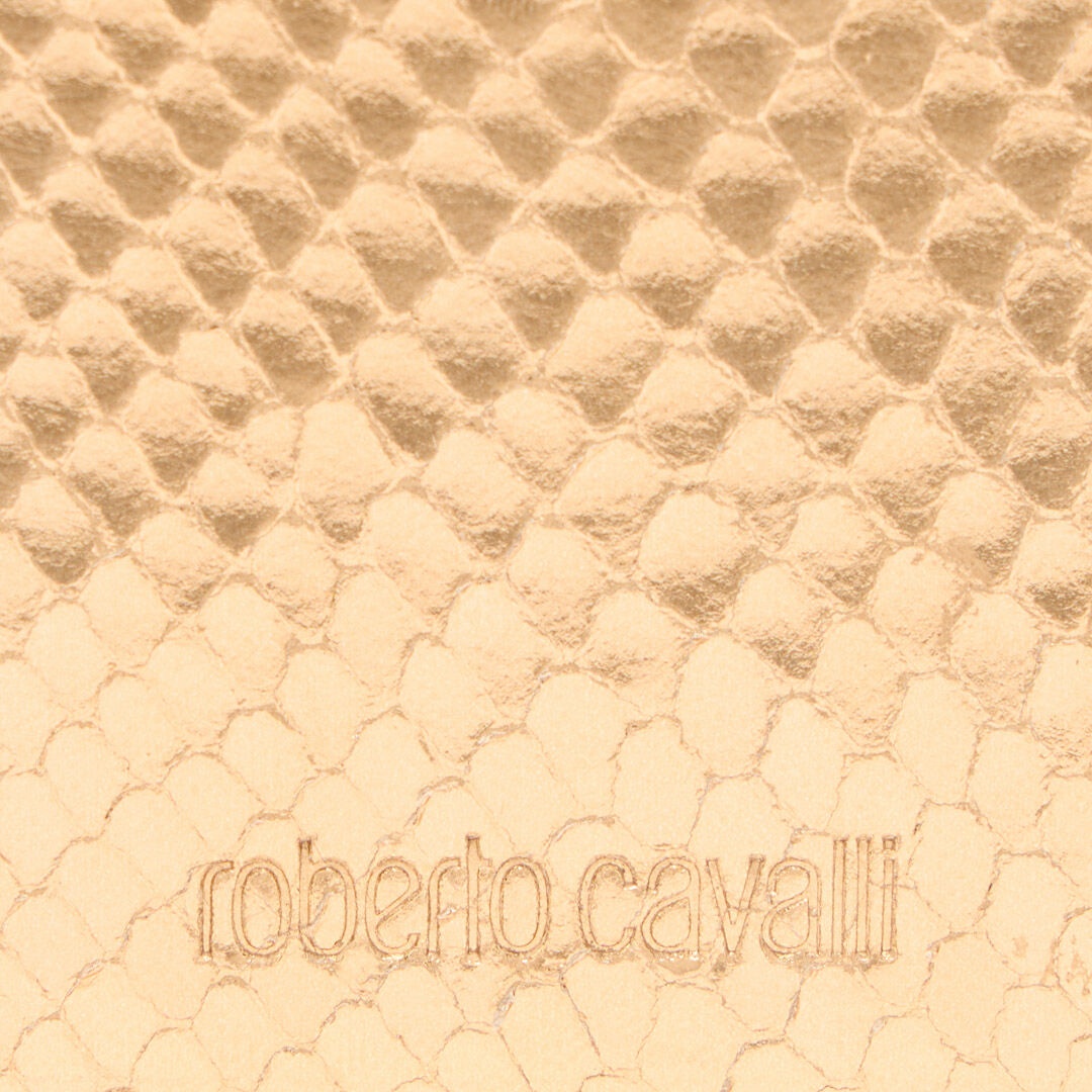 Metallic Snake-Scale Card Holder - 4