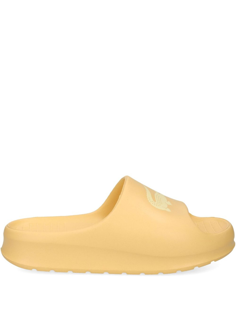 Serve logo-strap slides 1