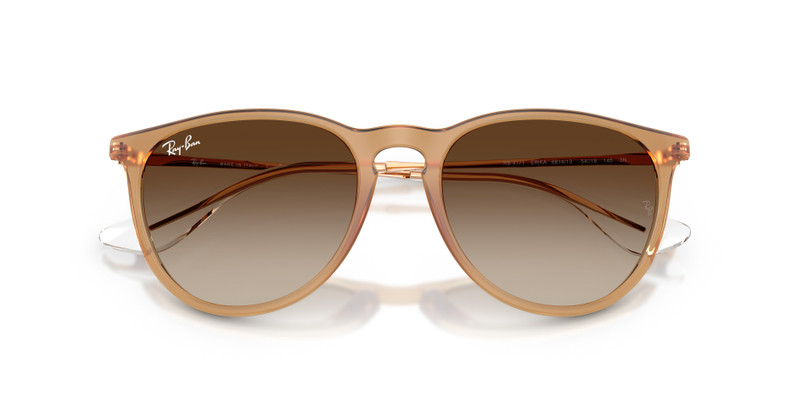 Ray-Ban ERIKA CLASSIC outlook