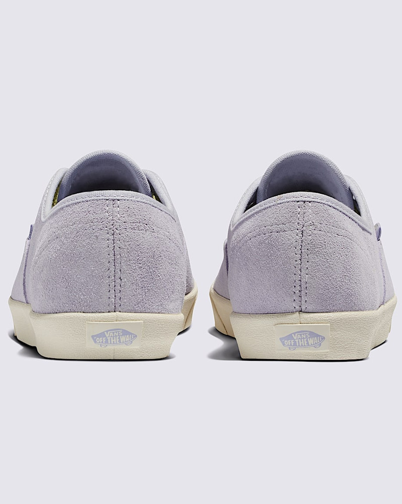 Authentic Lowpro Suede Shoe 4