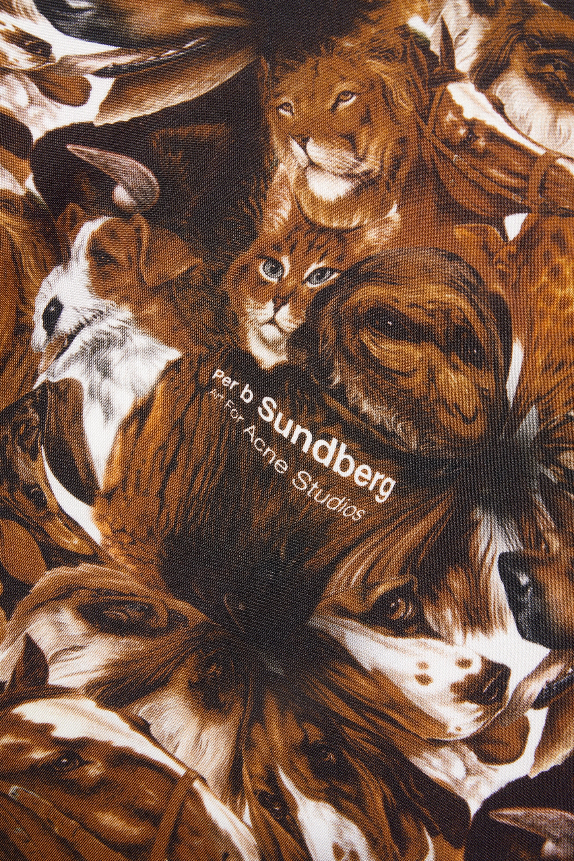 Print silk scarf - Brown - 5