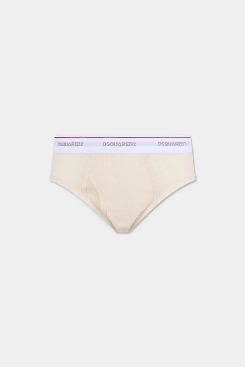 BASIC BRIEF - 1