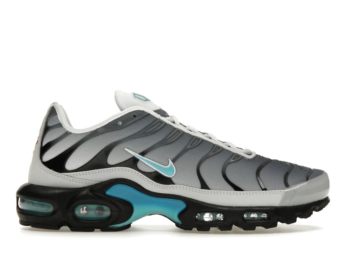 Nike Air Max Plus One Block Down Matte Silver - 1