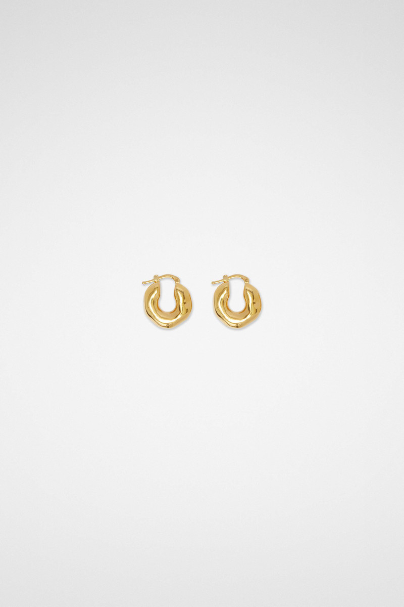 Earrings 1