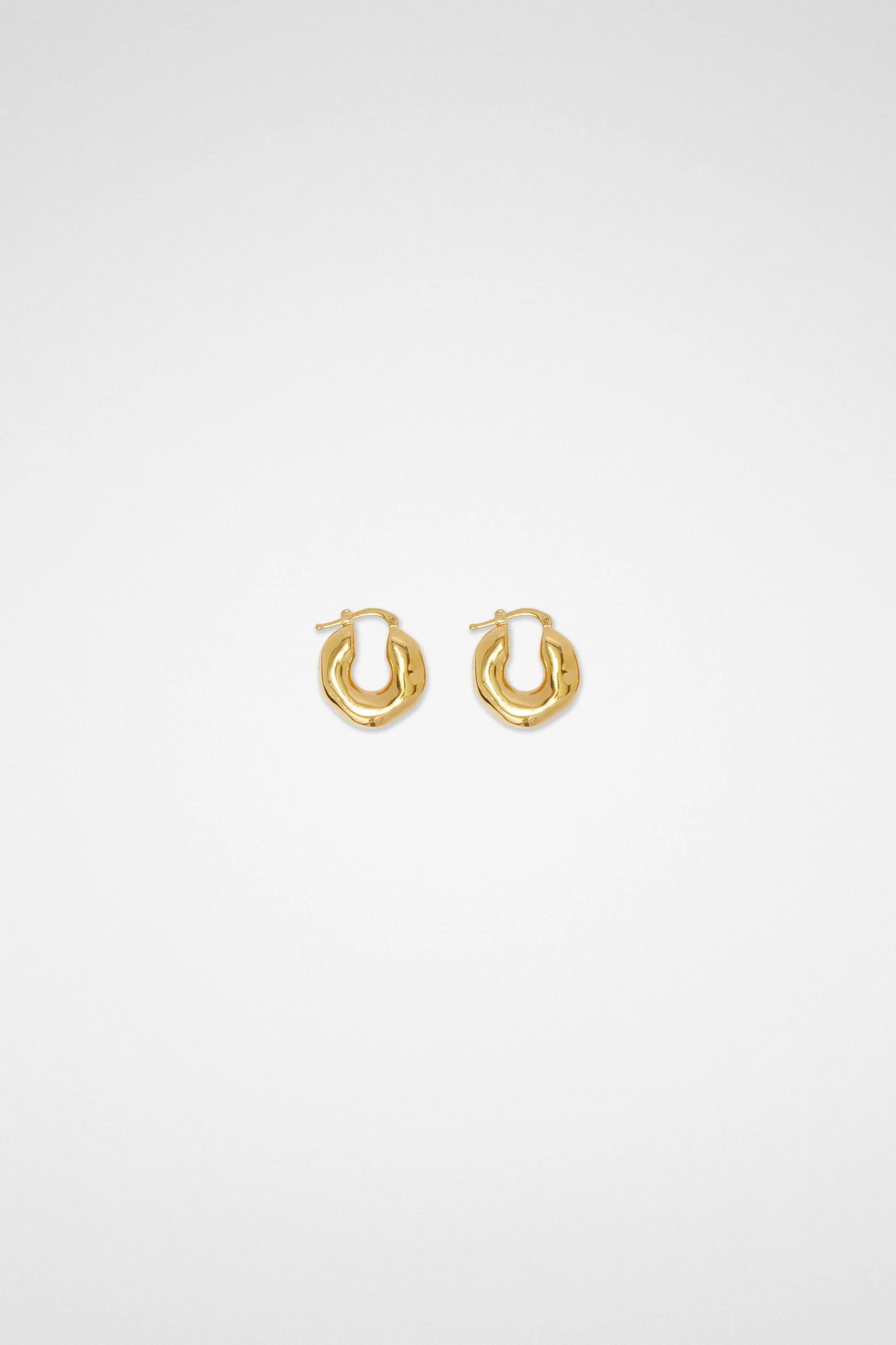 Earrings - 1