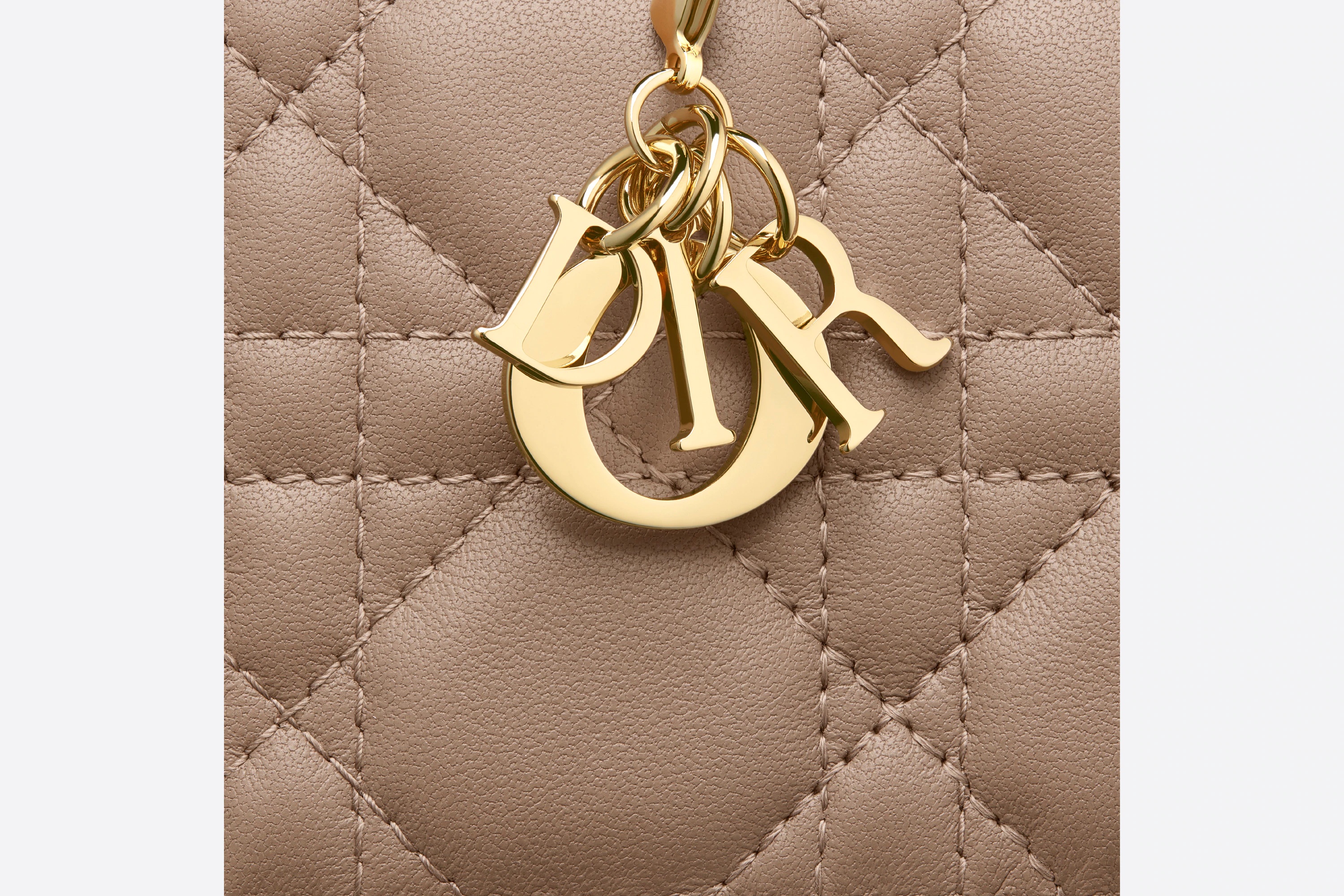 Lady Dior Flap Card Holder - 4
