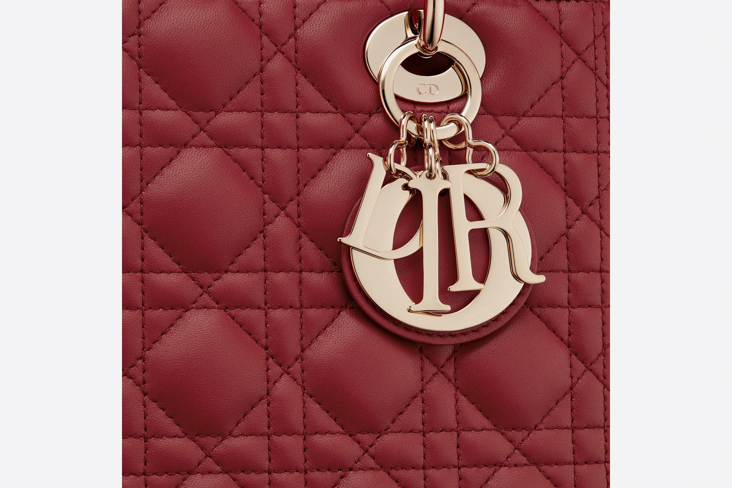 Medium Lady Dior Bag - 4