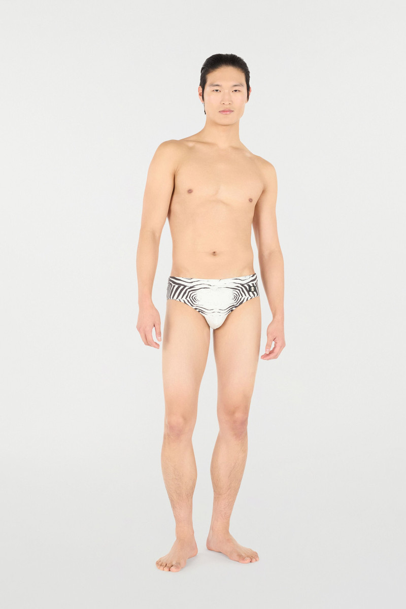 Roberto Cavalli Zebra-Print Swim Briefs outlook