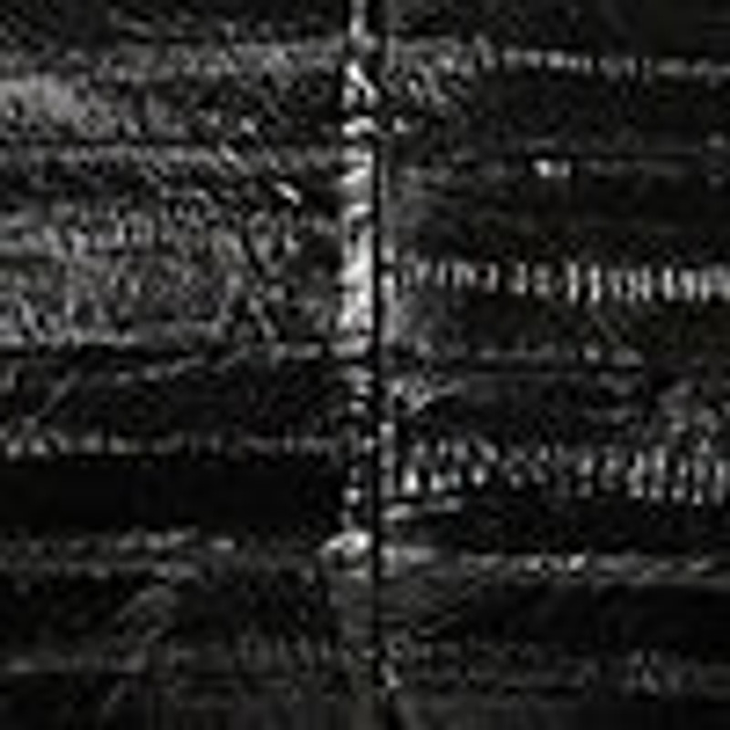 XL Dante Clutch in Eel 4