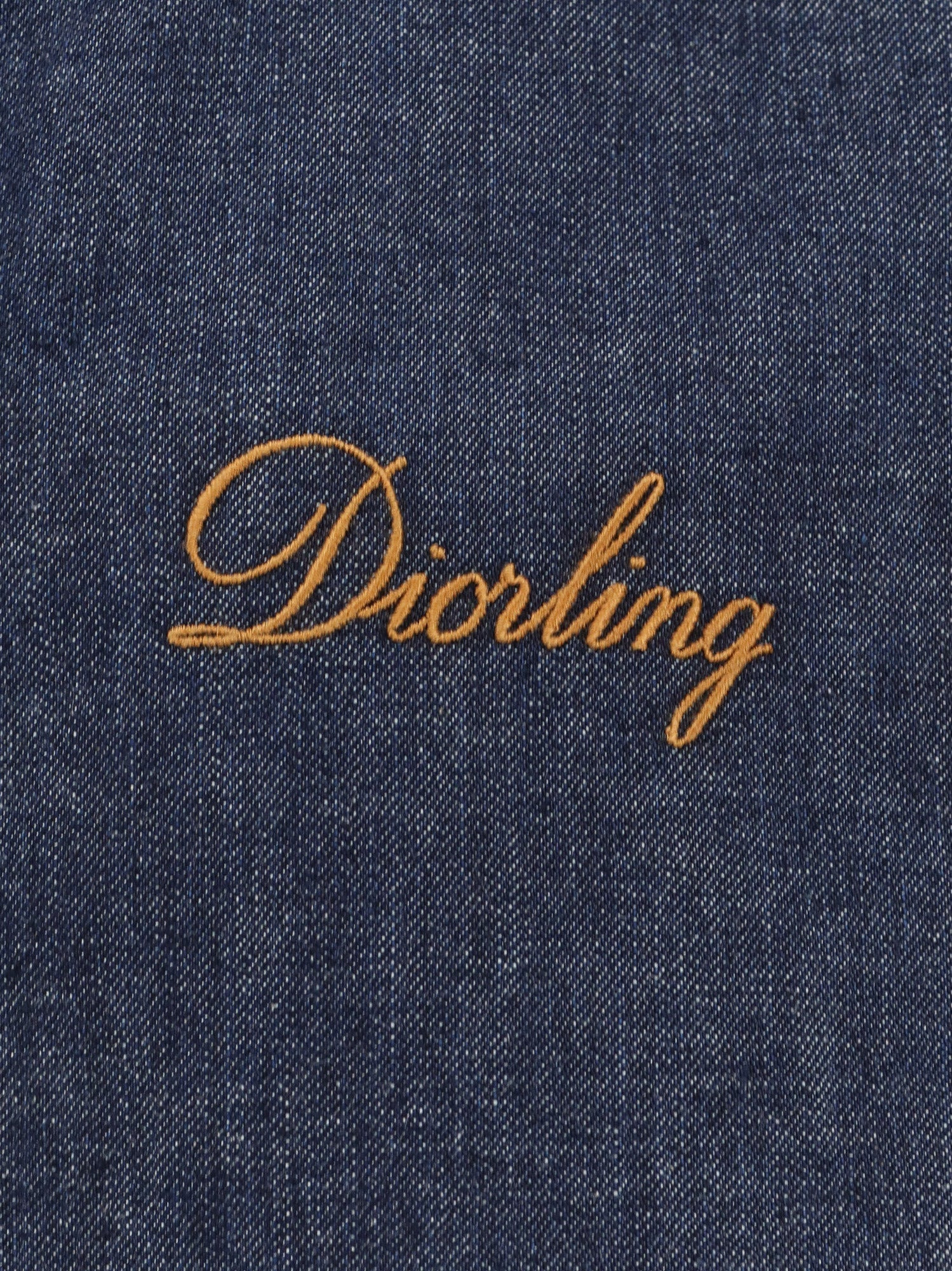 Dior Men Diorling Denim Jacket - 3