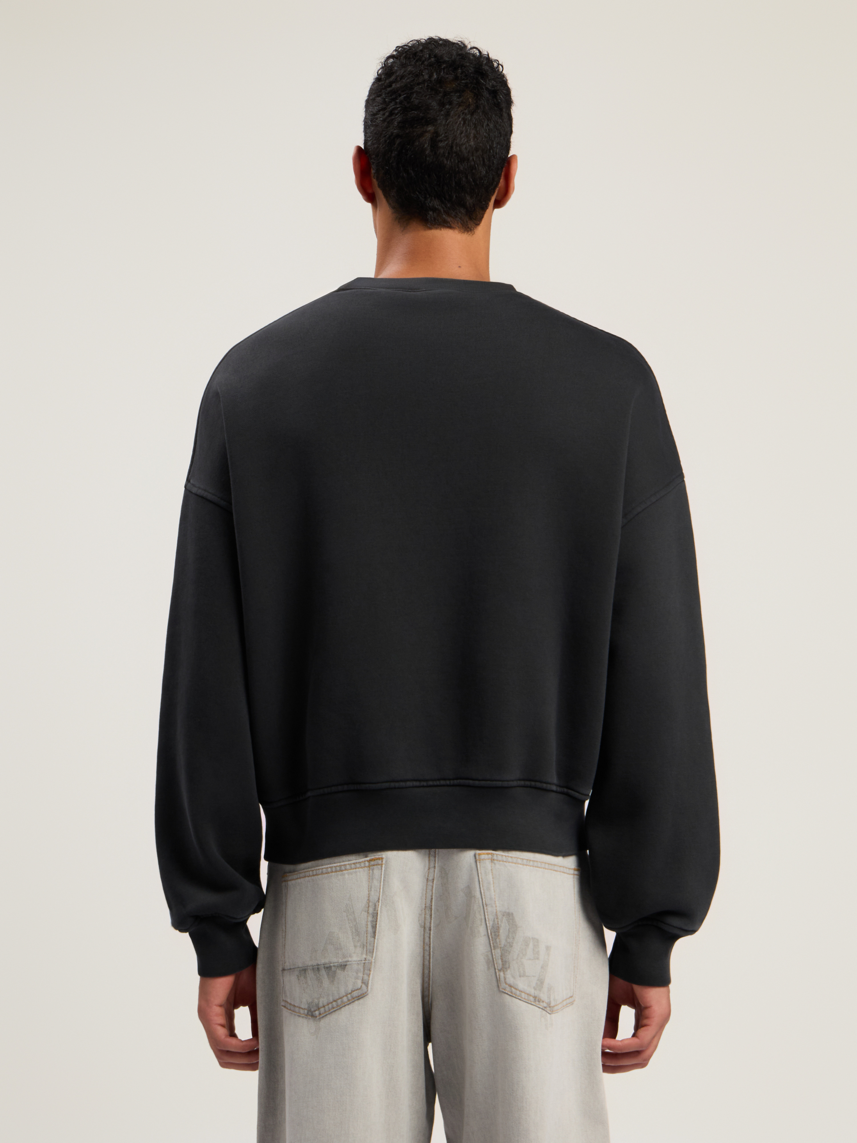 Dollar Loose Crew Sweatshirt - 5