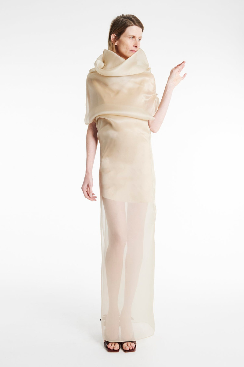 ORGANZA DRESS CHAMPAGNE 2
