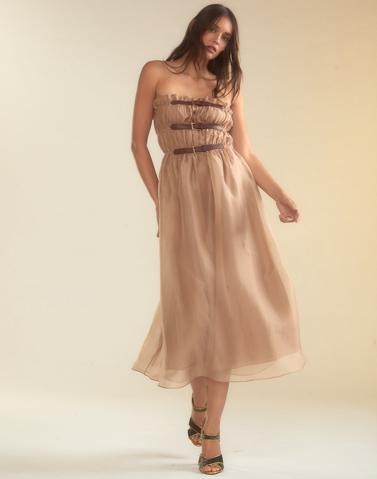 Buckle Up Silk Organza Dress - 4