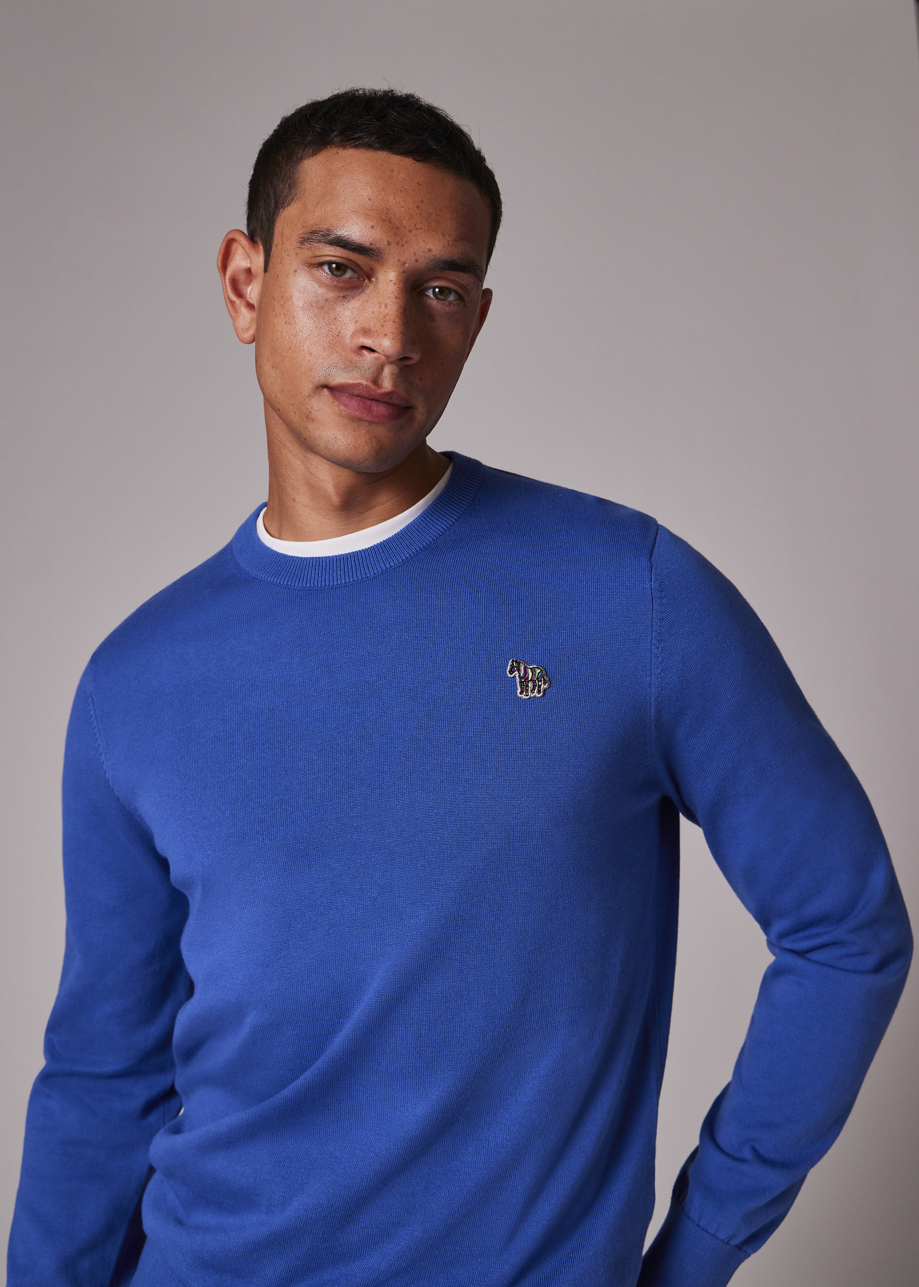 Bright Blue Organic Cotton Zebra Logo Sweater - 3