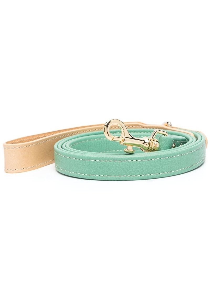 leather pet lead 1