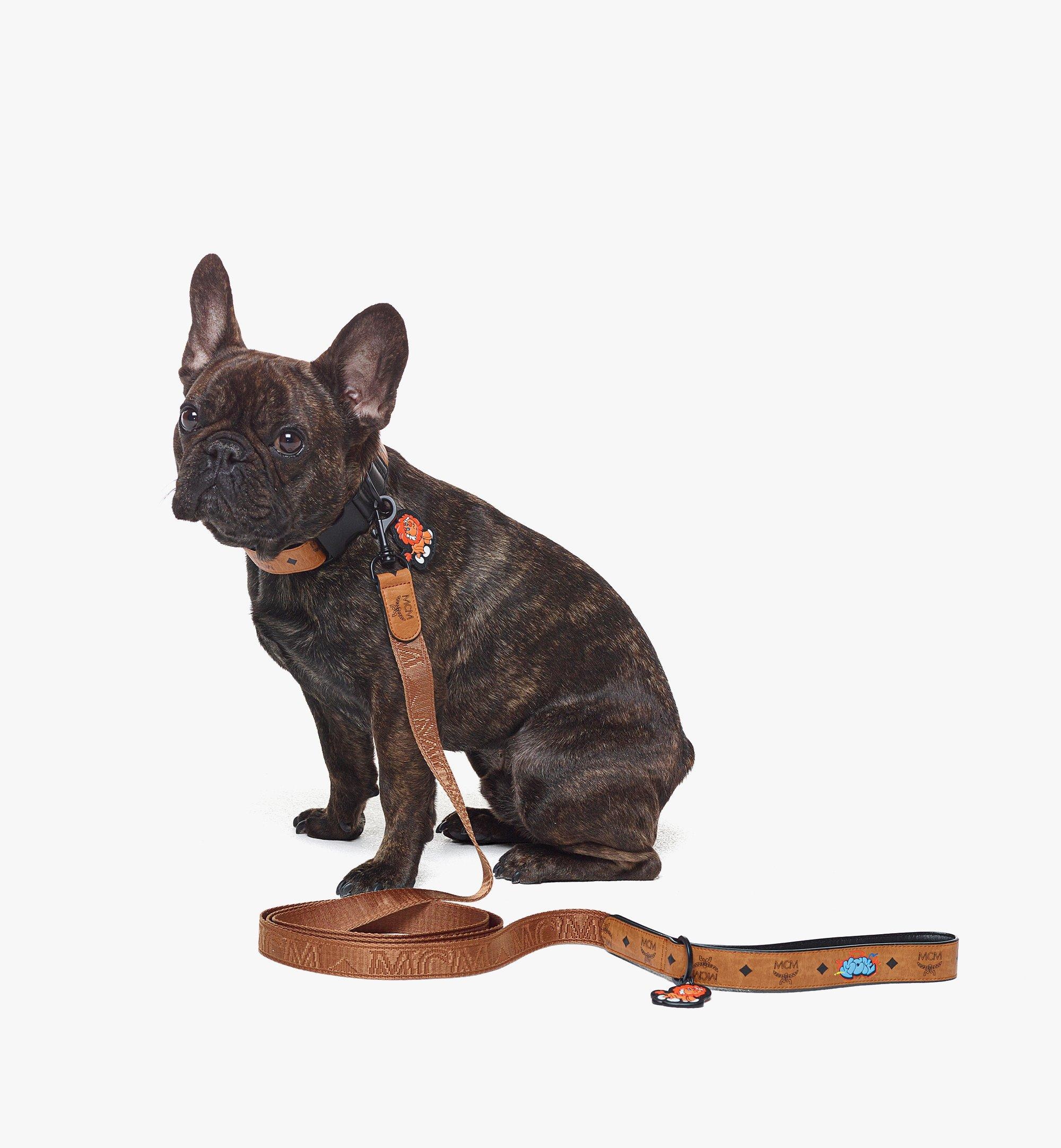 Haru, Henry, Kaiser Pet Leash in Visetos - 4