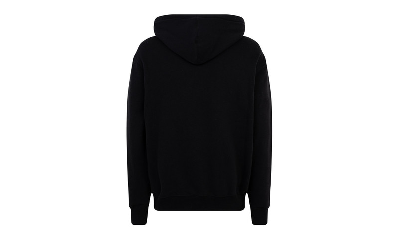 Supreme TNF Lenticular Mountain Hoodie outlook