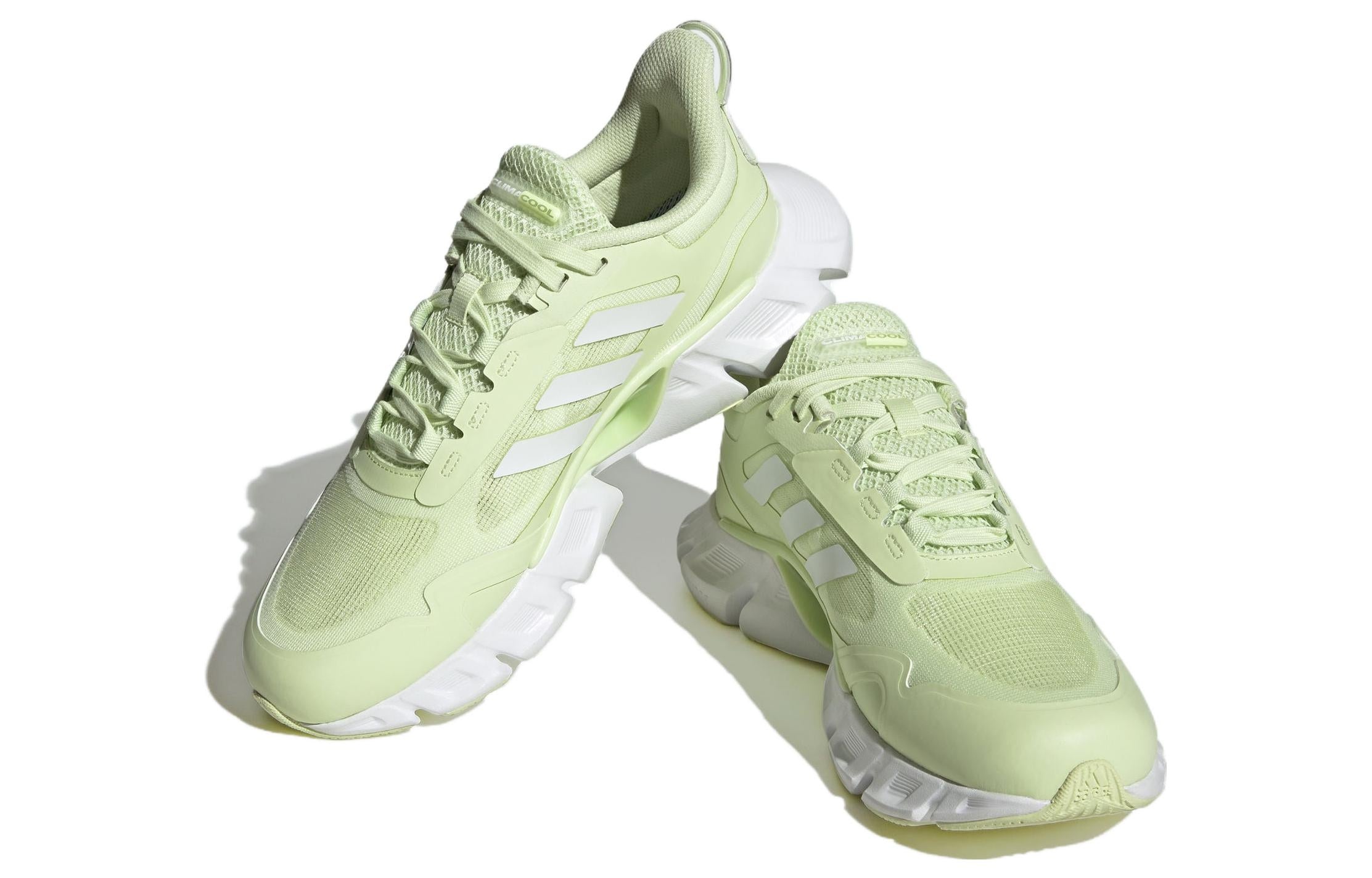 adidas gazelle silver green womens adidas x Brain Dead Climacool 2