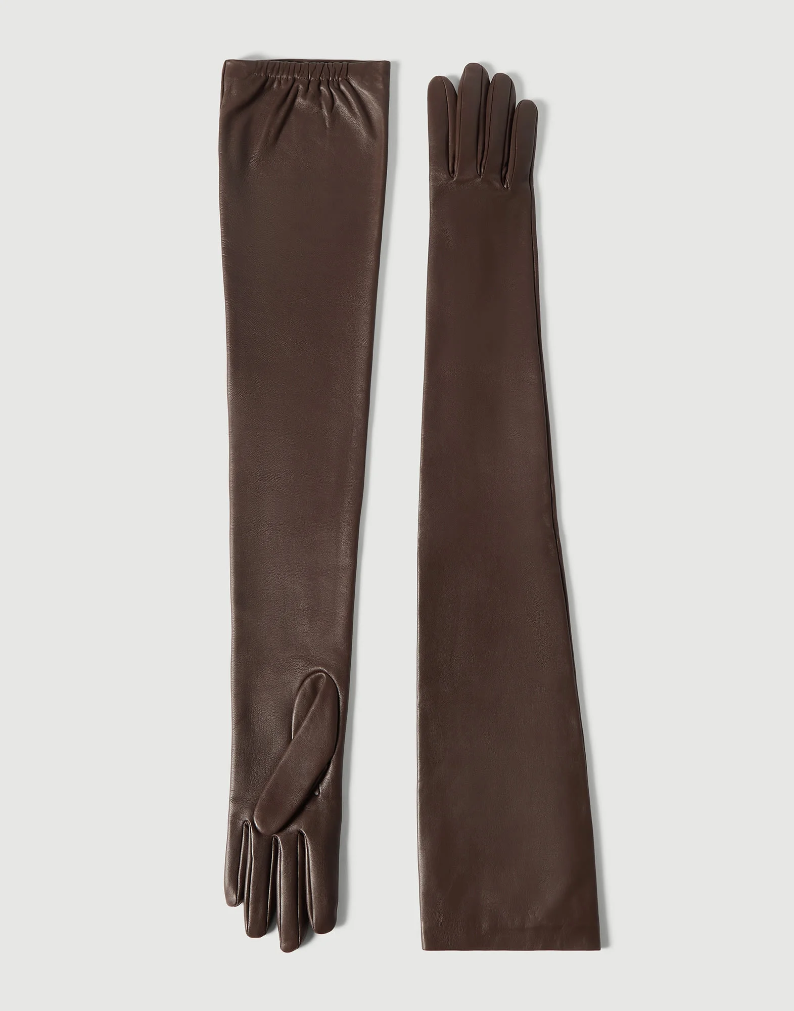 Nappa leather long gloves - 1