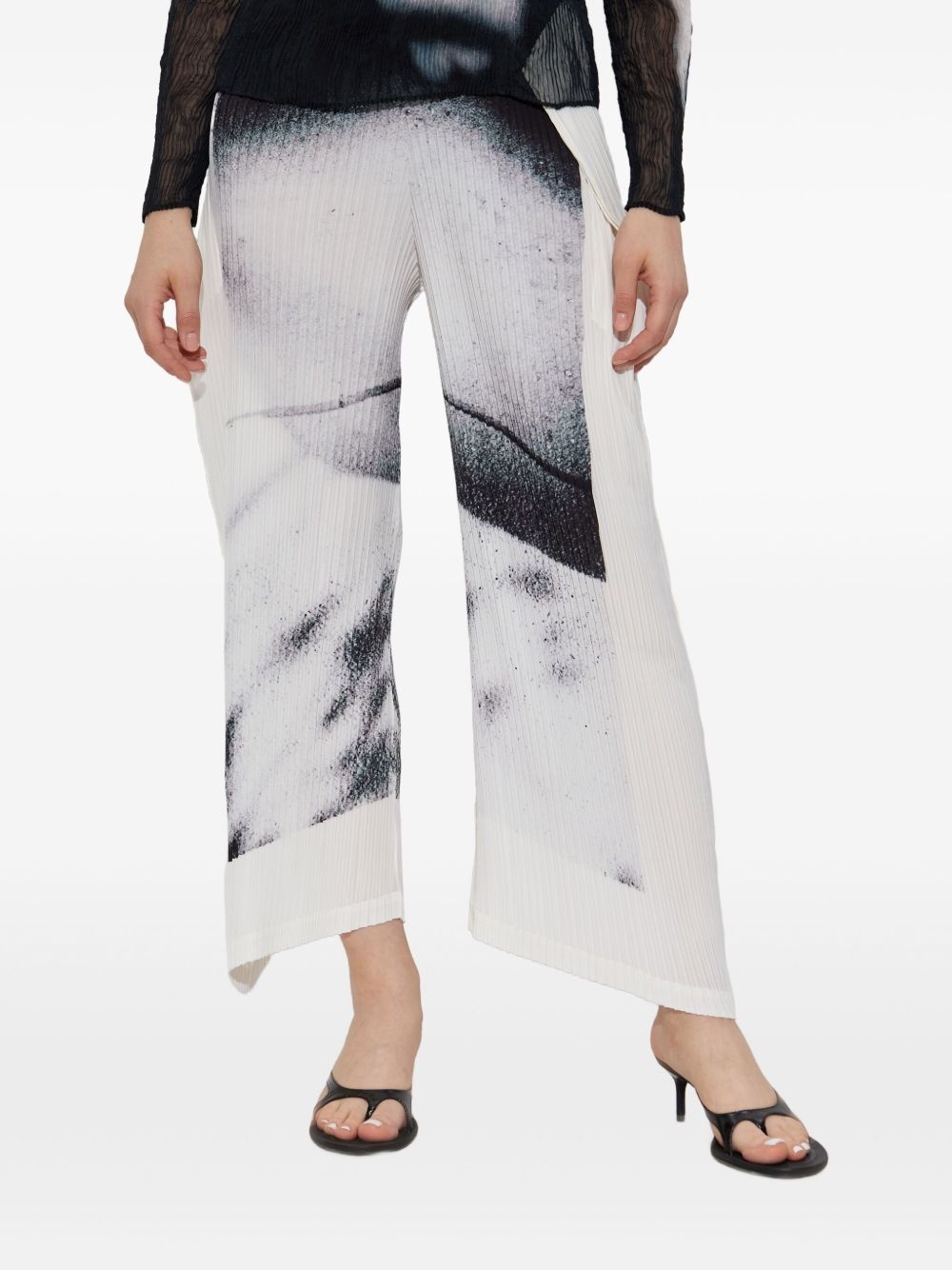 Shadow Study printed pleated trousers - 3