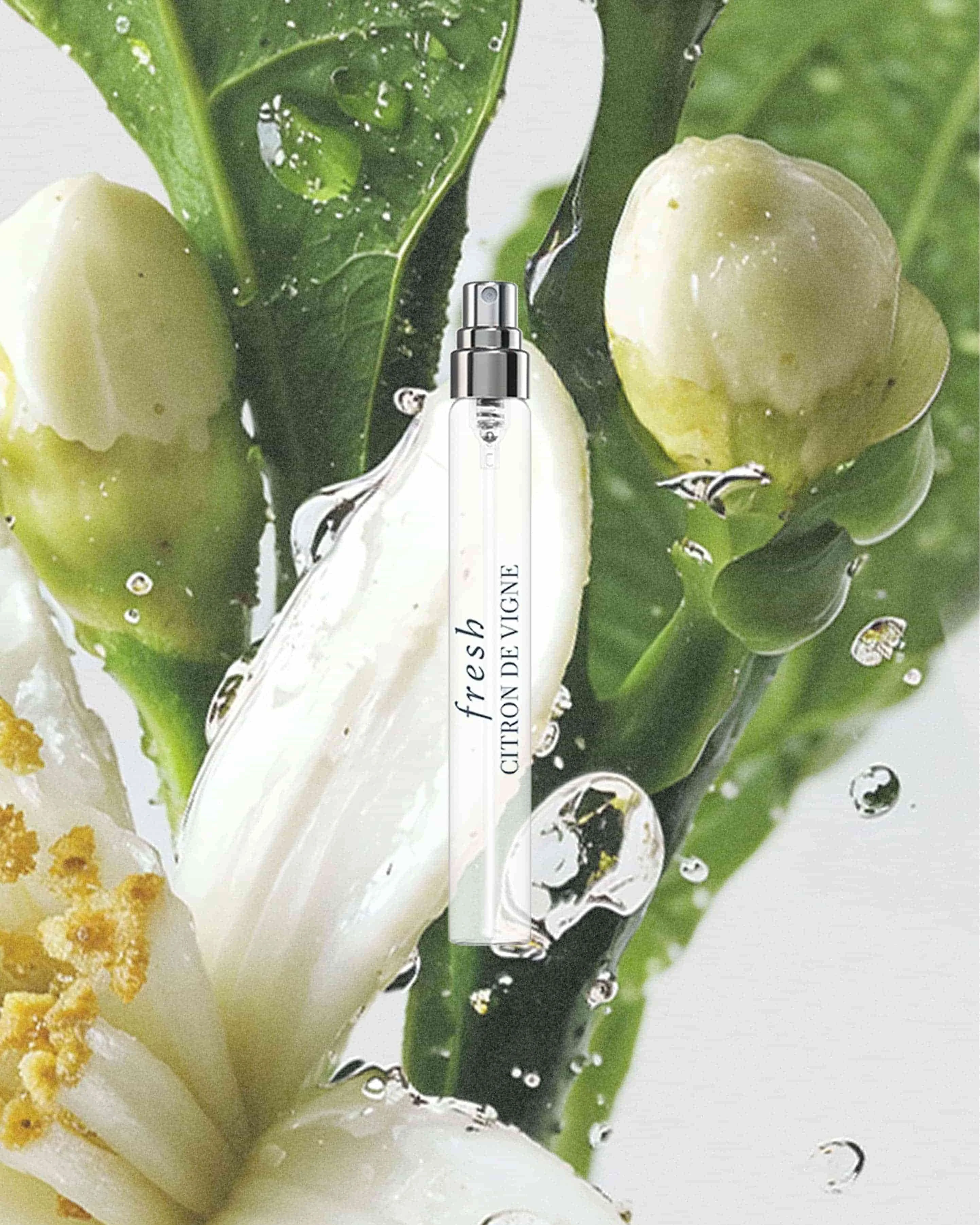 citron de vigne eau de parfum - 1