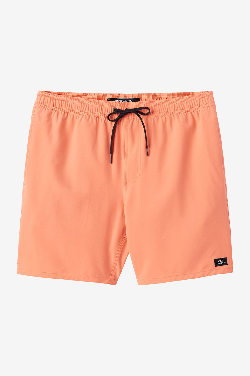 Lennox Hermosa Solid 17" Swim Trunks 1