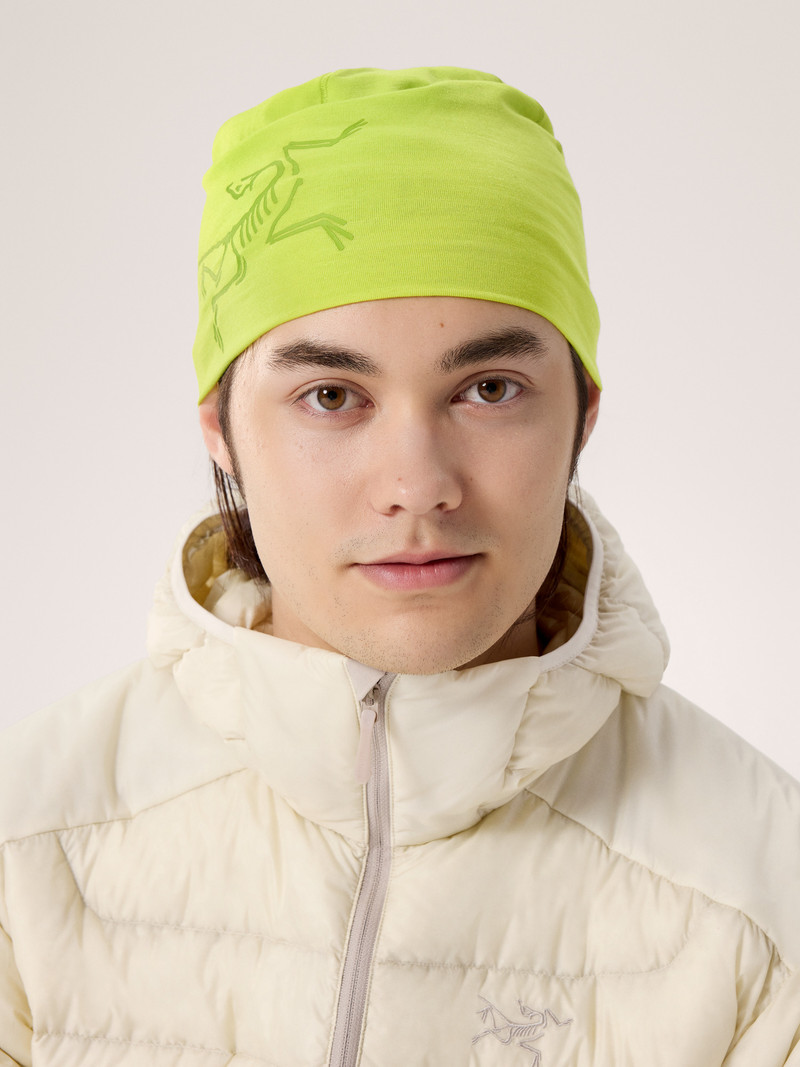 Arc'teryx Satoro Merino Toque outlook