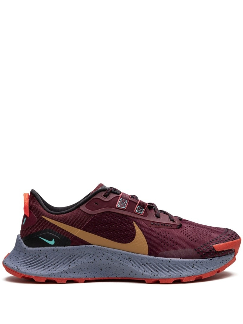 Air Zoom Pegasus Trail 3 - 1