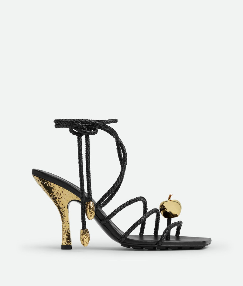 Adam Sandal - 1