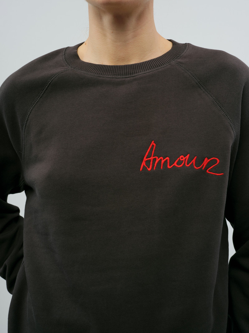 Upper Amour Embroidered Sweatshirt 1