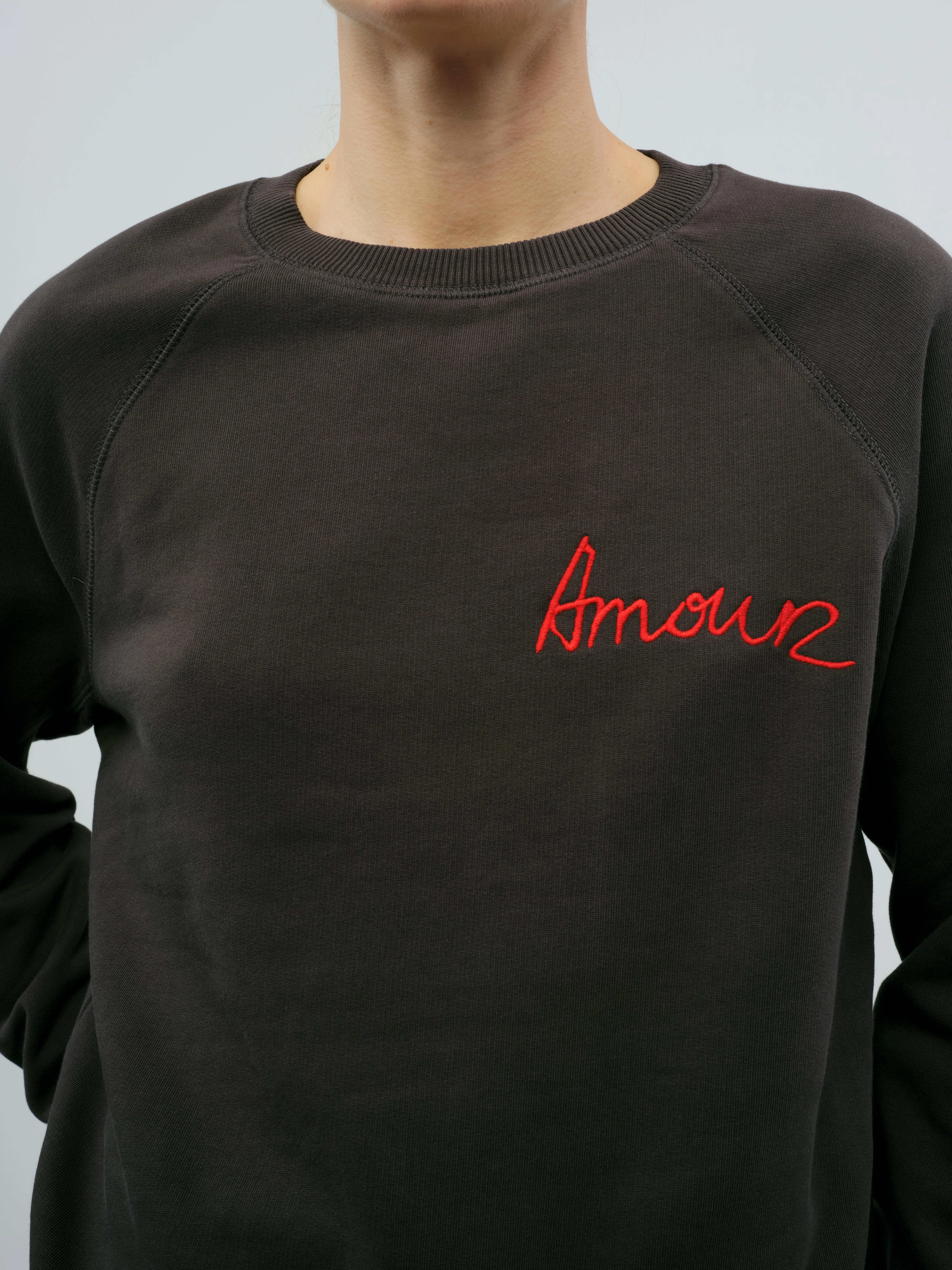 Upper Amour Embroidered Sweatshirt - 1