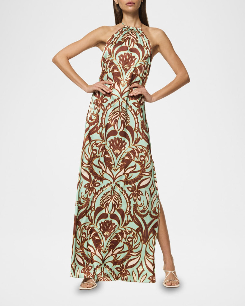 MISA Samantha Maxi Dress outlook