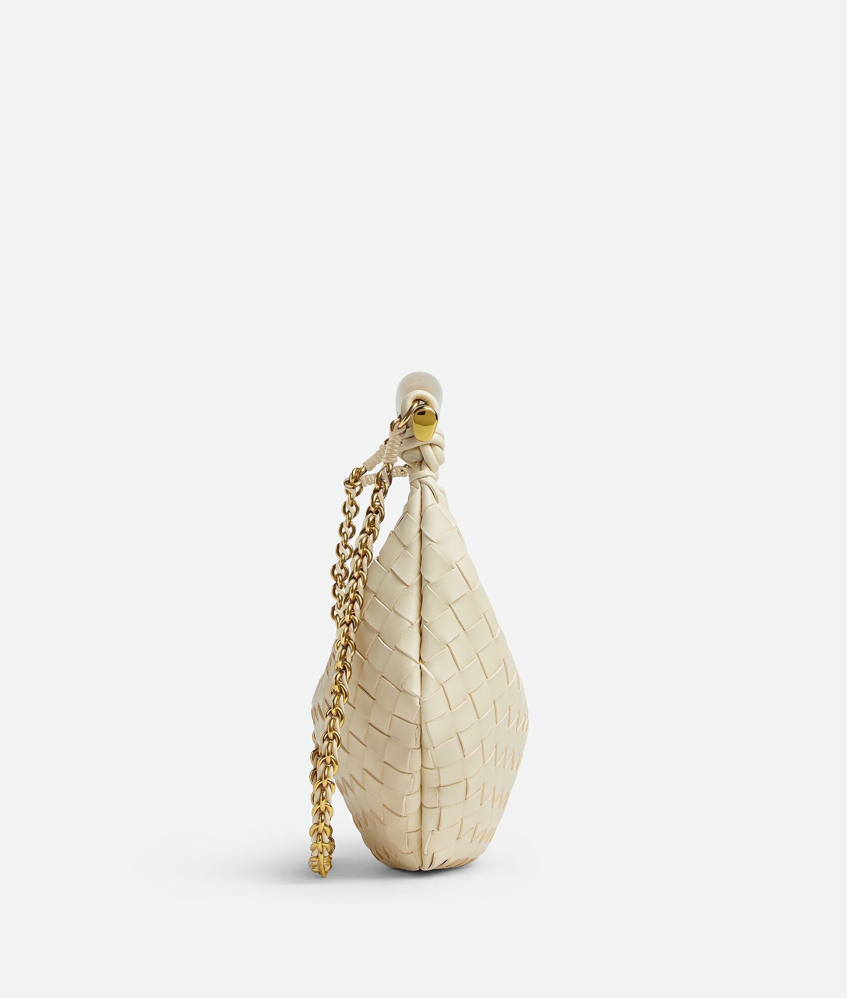 Sardine With Chain - 4