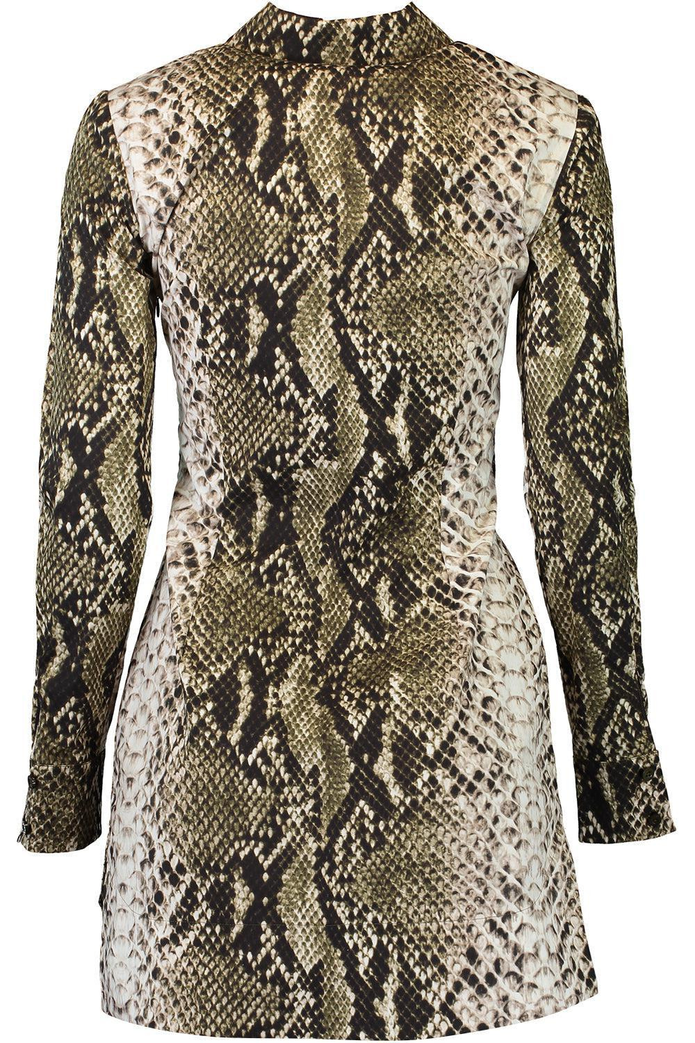 Snake Poplin Shirt Dress - 6