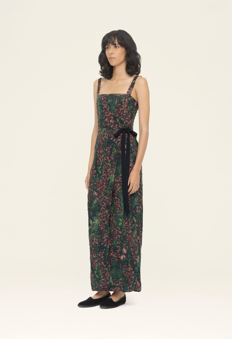 Cinéfila Colibrí Maxi Dress 5