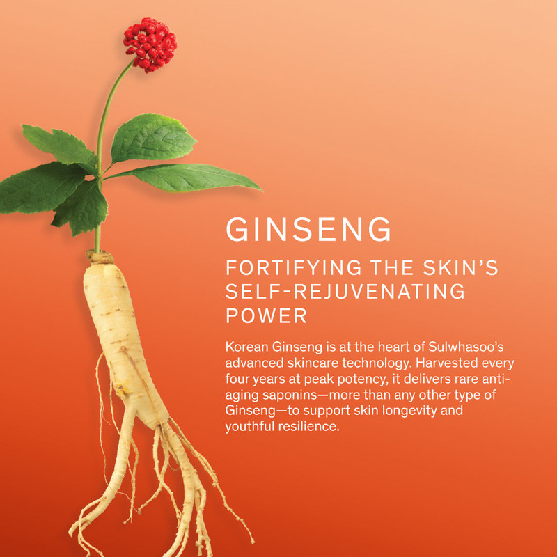 Concentrated Ginseng Rejuvenating Ampoule 4