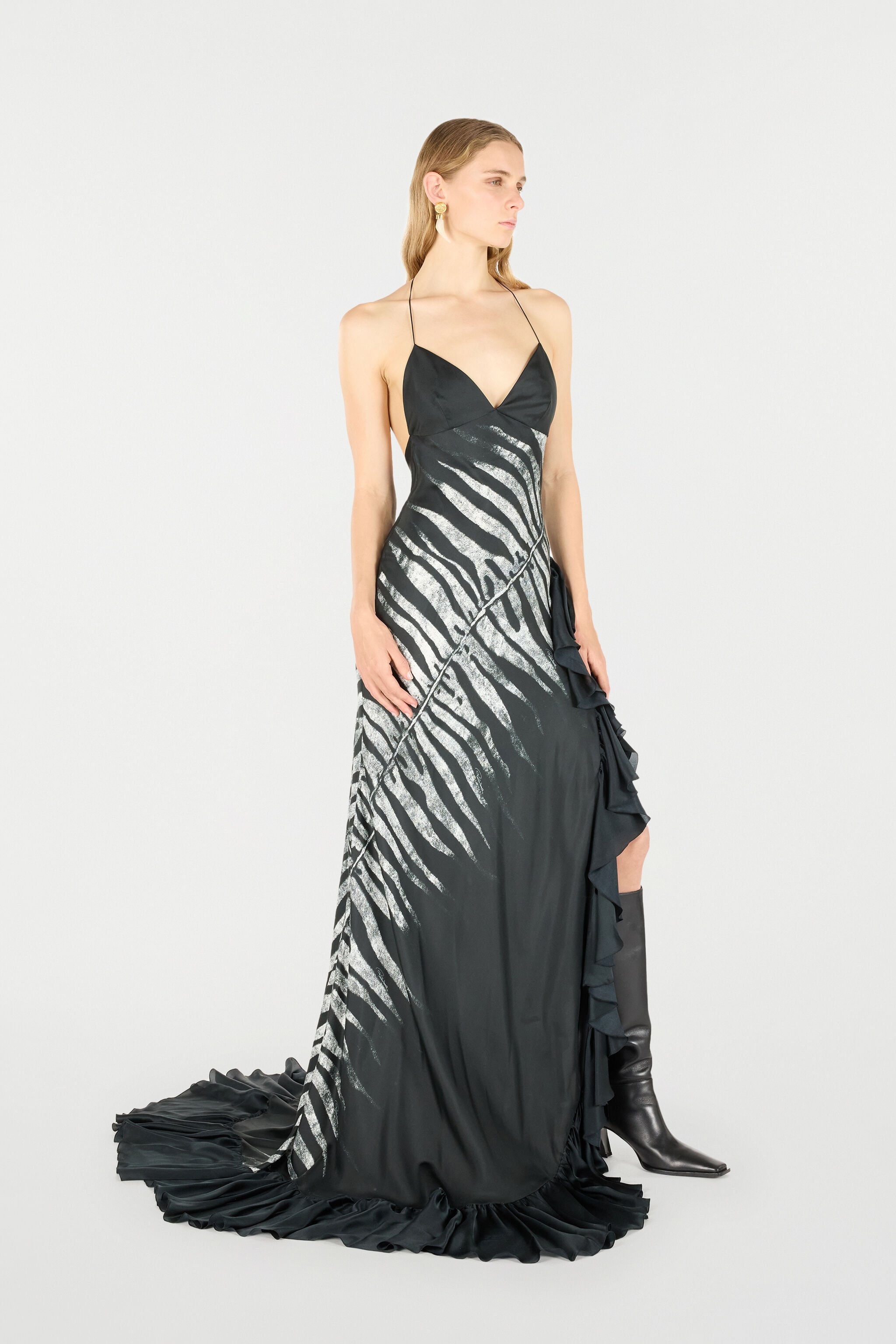 Long Dress With Zebra Print - 3