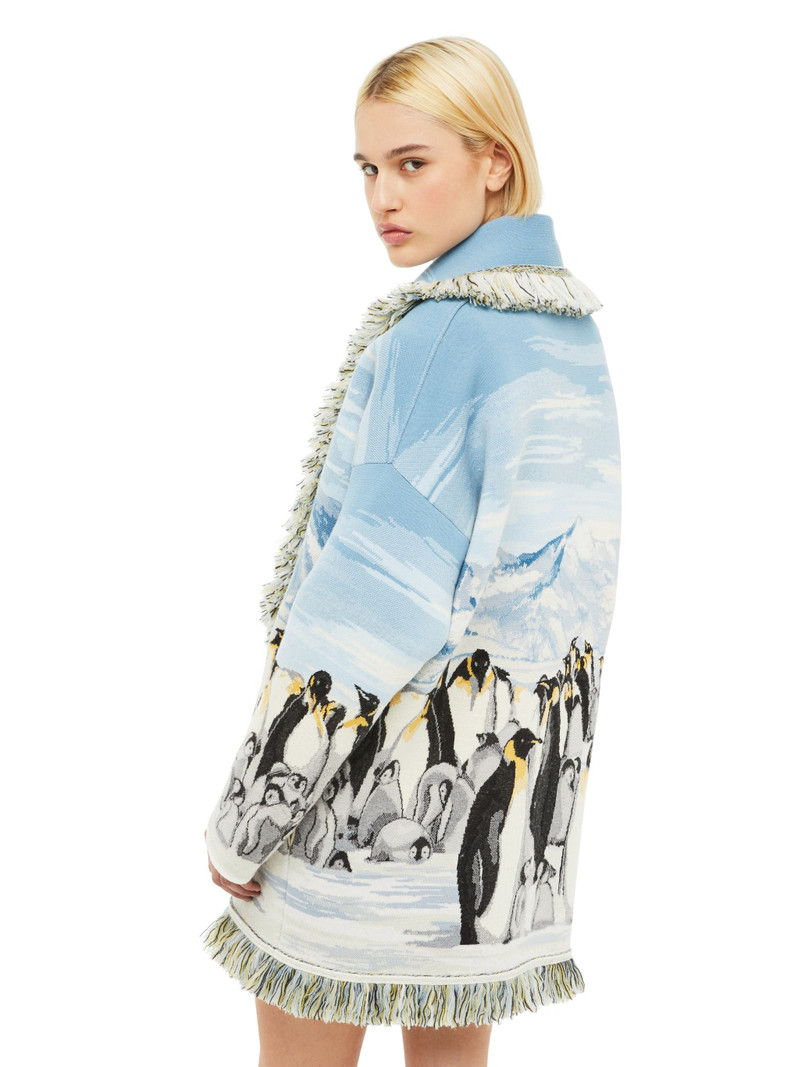 Postcard From Antarctic Cardi 10