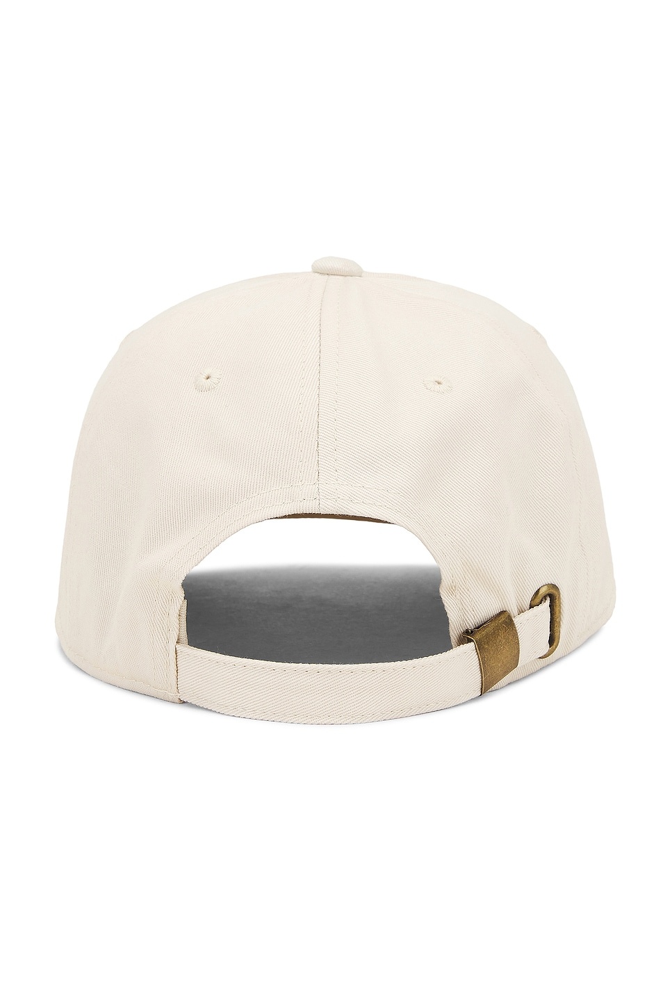 Naturalist Dad Hat - 2