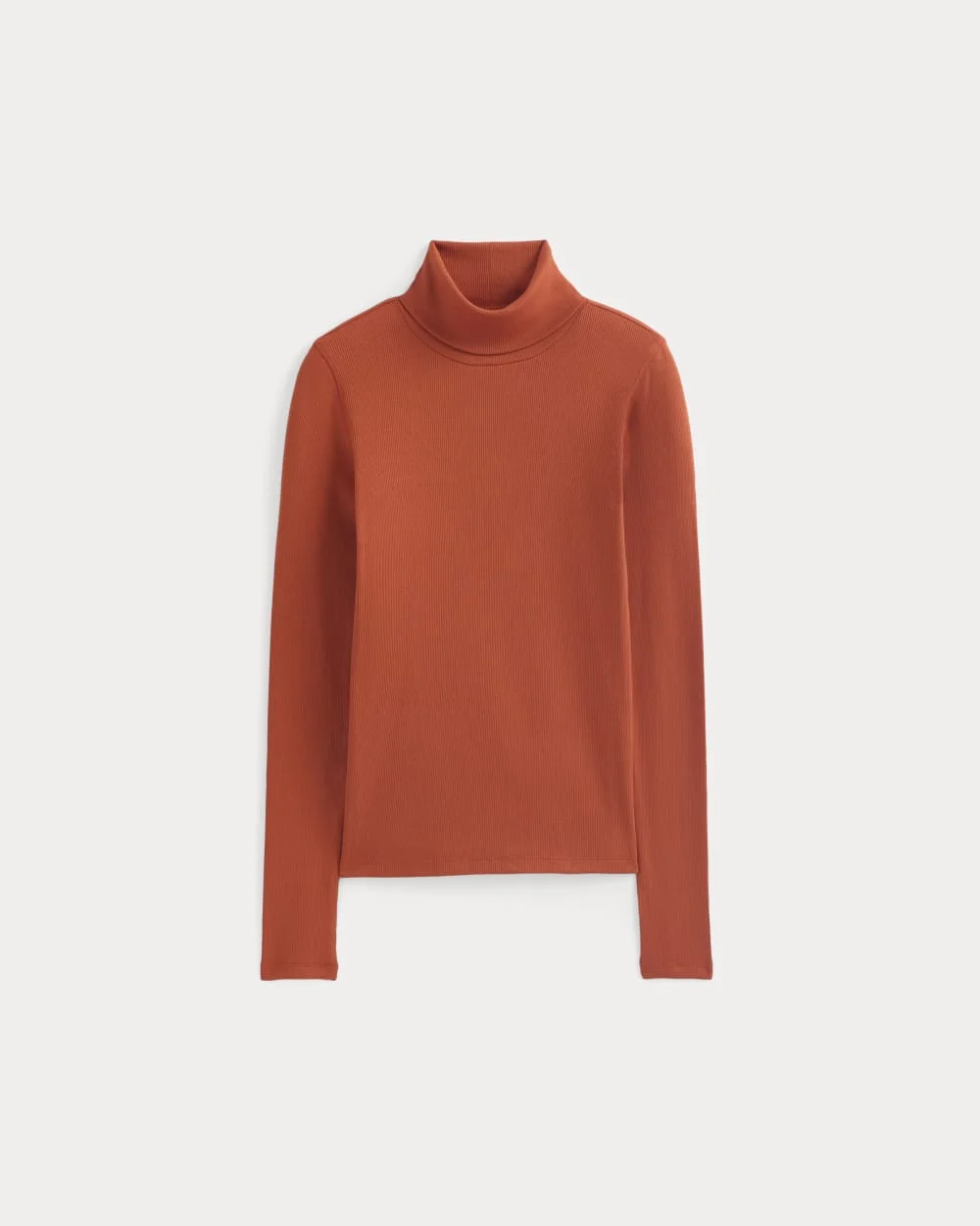 THE LUXE RIB TURTLENECK - 1