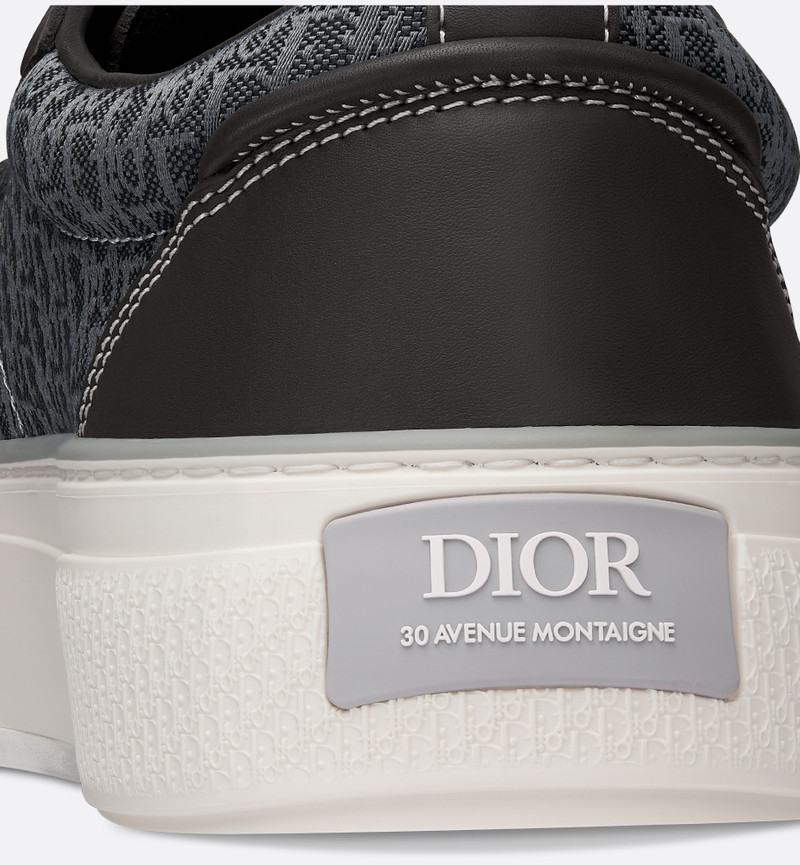 Dior B33 Sneaker outlook