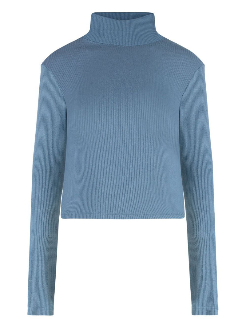 Hailey turtleneck sweater 1