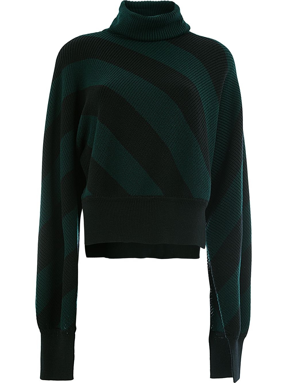 diagonal stripe turtleneck jumper - 1