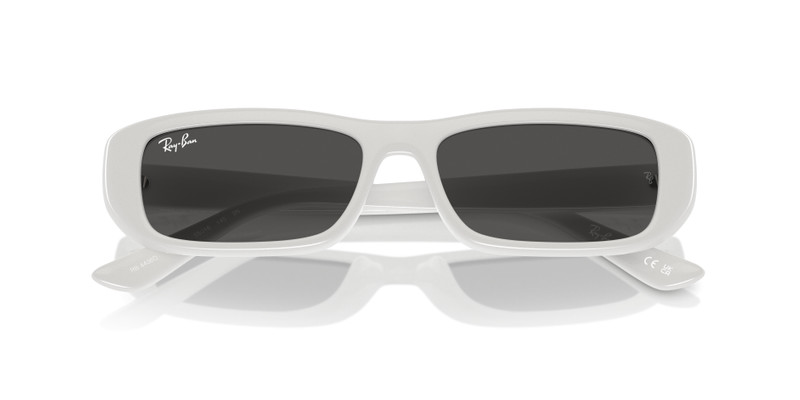 Ray-Ban RB4436D BIO-BASED outlook